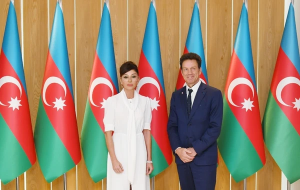 Mehriban Əliyeva fransalı qonaqlarla görüşdü - FOTO