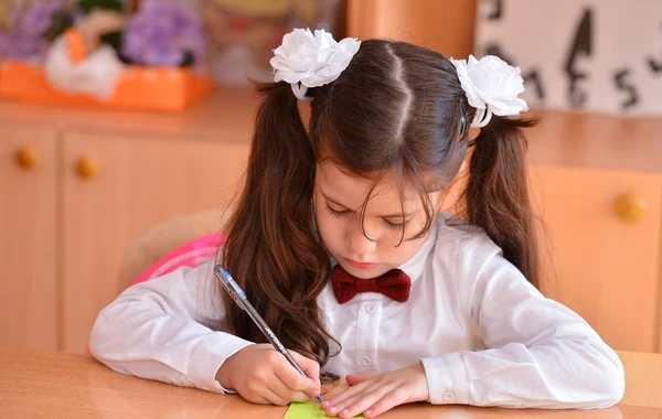Birinci sinfə qəbul üçün 45 395 sorğu yerləşdirilib