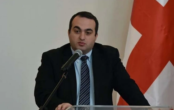Laşa Darsalia: “Azərbaycanla sərhəddə insident təkrarlanmayacaq”