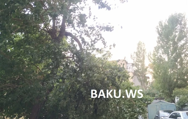 Bakıda təhlükəli vəziyyət – FOTO