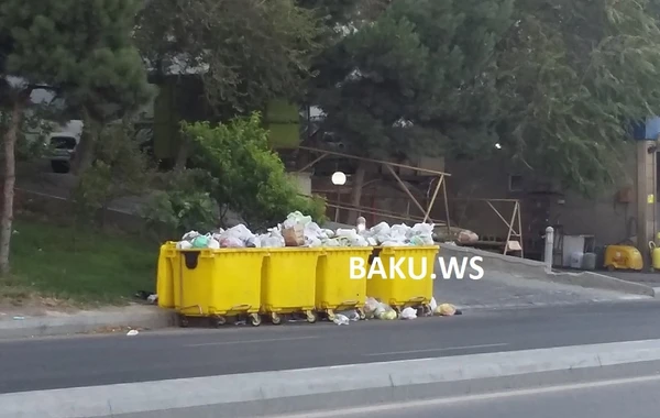 Bakının “zibil” dərdi – VİDEO