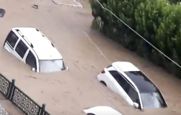 Türkiyədə sel fəlakətində ölənlərin sayı artdı - FOTOLAR