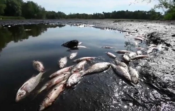 Avropa istilərə tab gətirə bilmir - Göl qurudu (FOTO)