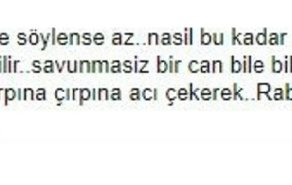Hər kəsi dəhşətə gətirən qorxunc görüntülər sosial medianı alt-üst etdi - VİDEO