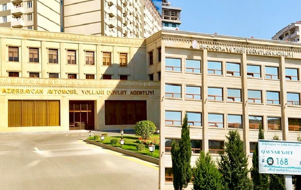 Nazirlik ağac kəsdiyinə görə Dövlət Agentliyini cərimələdi