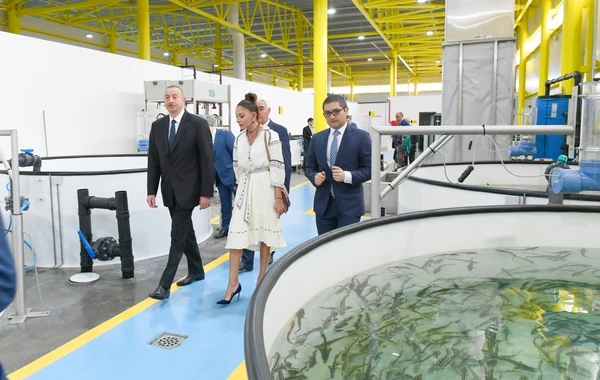Prezident bir sıra obyektlərin açılışında iştirak edib - FOTO