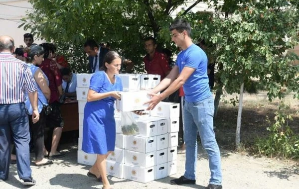 По инициативе Мехрибан Алиевой около 70 тысяч семей получили праздничные паи - ФОТО