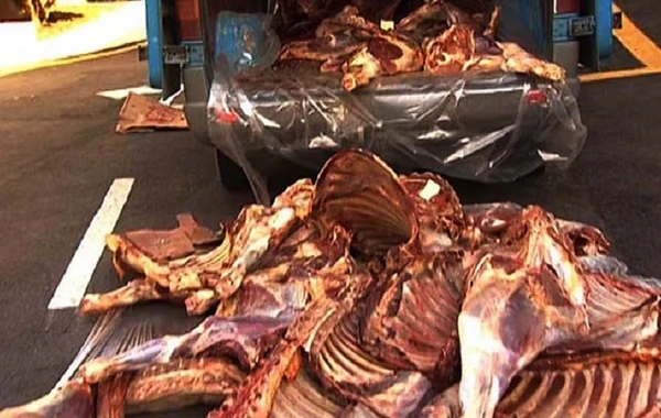Qurban bayramı günü Bakıda külli miqdarda yararsız ət aşkarlandı - FOTO