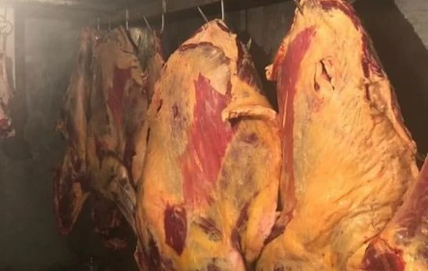 В Баку предотвращена продажа крупной партии непригодного к употреблению мяса - ФОТО