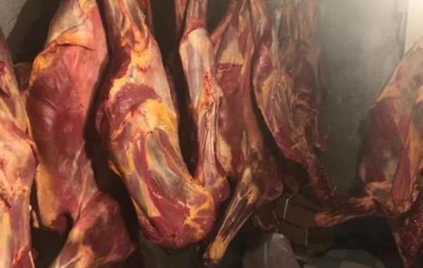 В Баку предотвращена продажа крупной партии непригодного к употреблению мяса - ФОТО