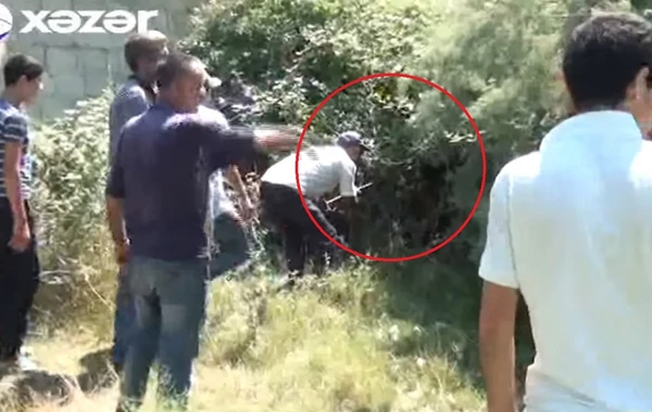 Azərbaycanın bu kəndində əcaib varlıqlar sakinləri təşvişə salıb - VİDEO