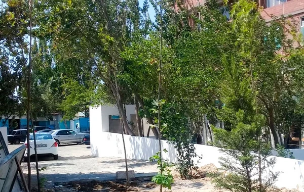 Bakıda "Zeytunluq"da nə baş verir?