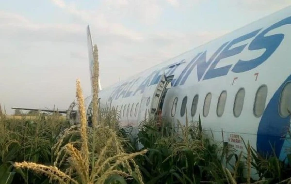 226 sərnişin daşıyan təyyarə qarğıdalı sahəsinə düşdü - VİDEO