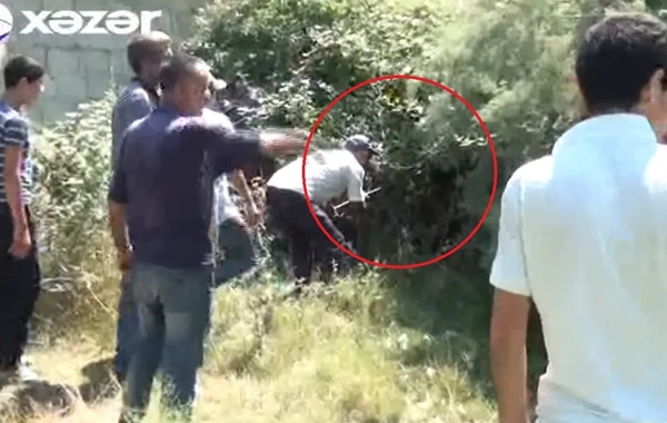Azərbaycan polisi naməlum məxluqu tutmağa çalışır - VİDEO