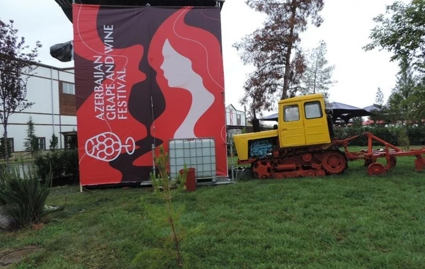 Продолжается Азербайджанский фестиваль винограда и вина