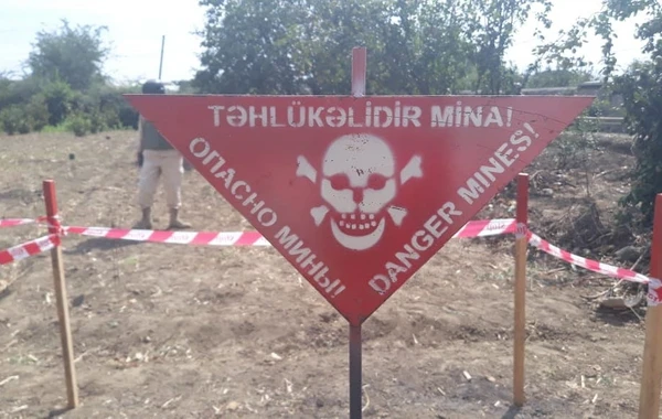 Azərbaycanda Qızıl Orduya məxsus partlamamış hərbi sursatlar tapıldı - FOTO