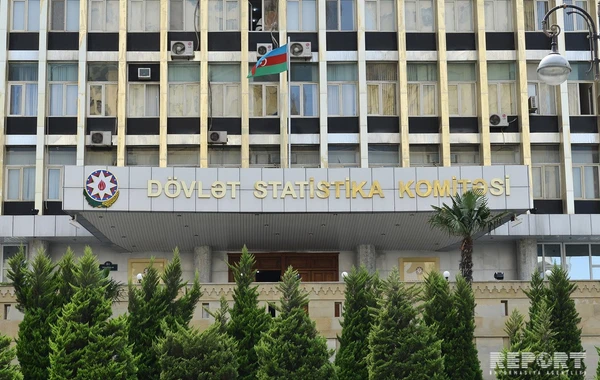 Dövlət Statistika Komitəsi 40 minə yaxın şəxsi işə götürdü