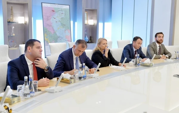 Президент SOCAR обсудил с грузинским министром вопросы газоснабжения - ФОТО