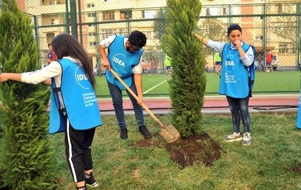 По инициативе Лейлы Алиевой благоустроен еще один двор - ФОТО