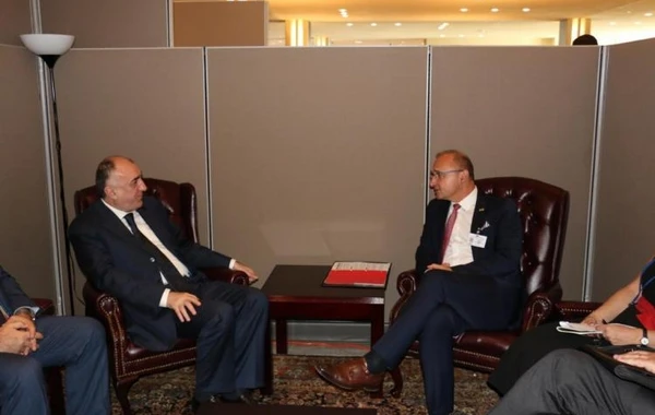 Elmar Məmmədyarov xorvatiyalı həmkarı ilə görüşüb