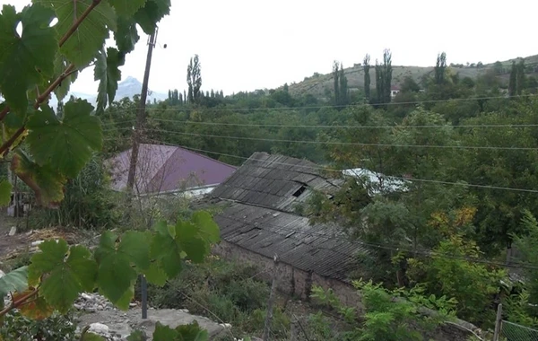 Tovuz sakinindən maraqlı addım - FOTO