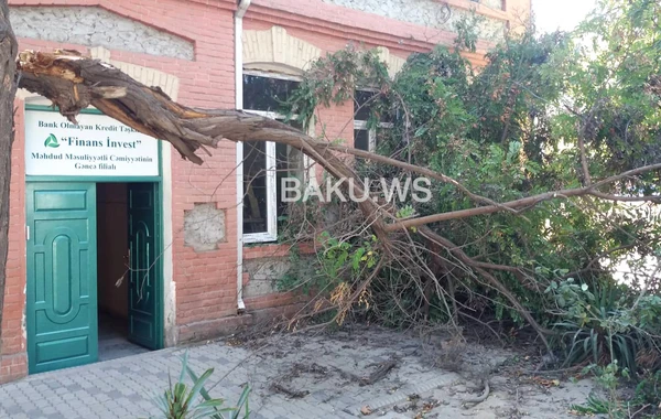 Güclü külək Gəncədə bir sıra fəsadlara yol açdı - VİDEO