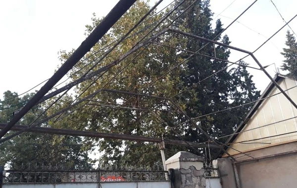 Qazaxda 57 yaşlı kişini tok vurdu - FOTO