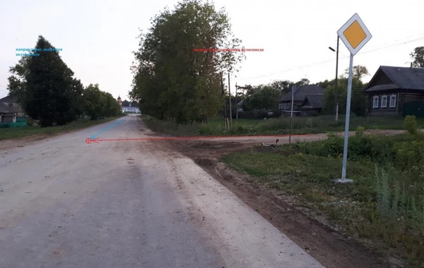 В крови насмерть сбитого 6-летнего ребенка нашли большое количество спирта - ФОТО