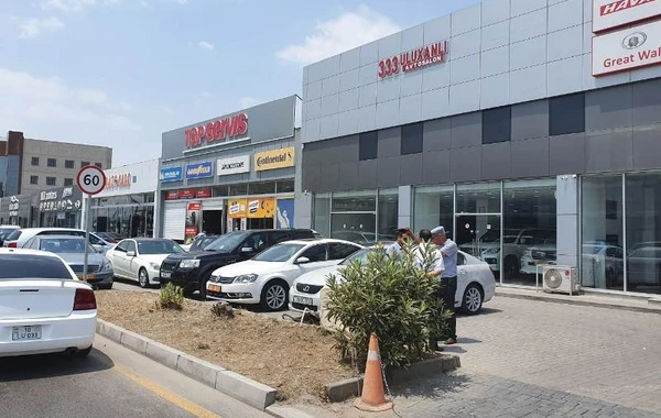 Bakıda “Yaşıl guşələr” yaradıldı - FOTO