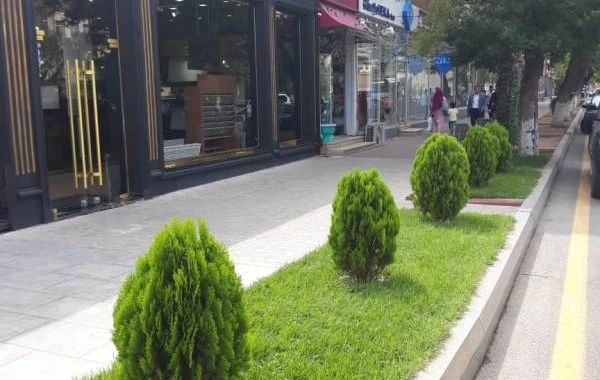 Bakıda “Yaşıl guşələr” yaradıldı - FOTO
