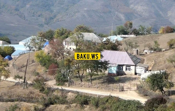 Azərbaycanın kəndlərində iribuynuzlu heyvanları kütləvi qırılır - FOTO