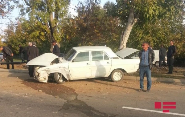 В Габале автомобиль врезался в столб, есть пострадавшие