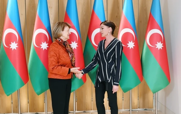 Mehriban Əliyeva Böyük Britaniya Baş Nazirinin Azərbaycan üzrə ticarət elçisi ilə görüşüb - FOTO - YENİLƏNİB