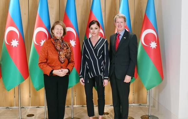 Mehriban Əliyeva Böyük Britaniya Baş Nazirinin Azərbaycan üzrə ticarət elçisi ilə görüşüb - FOTO - YENİLƏNİB