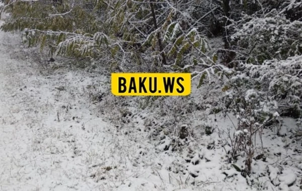 В Азербайджане выпал снег, толщина покрова 10 см - ВИДЕО