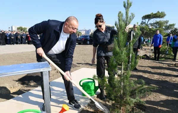 Ильхам Алиев и Первая леди на акции по посадке деревьев - ФОТО