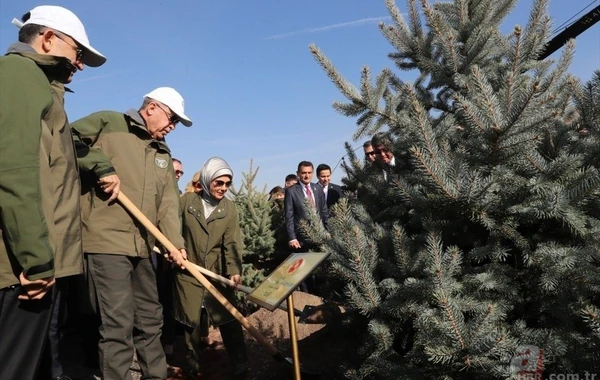 Türkiyədə 1 gündə 11 milyondan çox ağac əkildi - FOTO