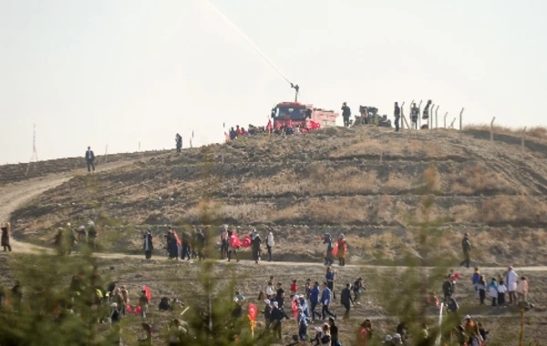 Türkiyədə 1 gündə 11 milyondan çox ağac əkildi - FOTO