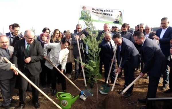 Türkiyədə 1 gündə 11 milyondan çox ağac əkildi - FOTO
