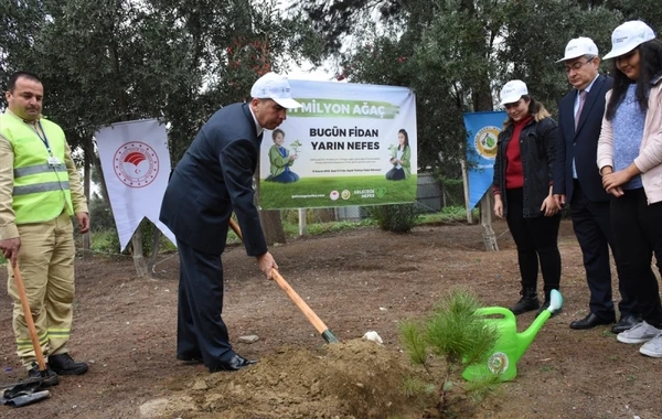 Türkiyədə 1 gündə 11 milyondan çox ağac əkildi - FOTO