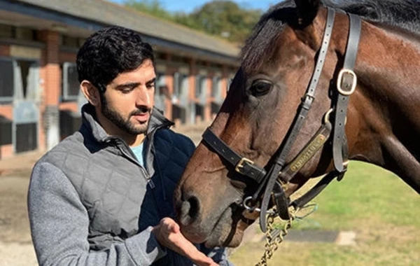 Dubay vəliəhdi Həmdan - Şeyx Məhəmmədin böyük oğlu ilə bağlı 10 fakt - FOTO