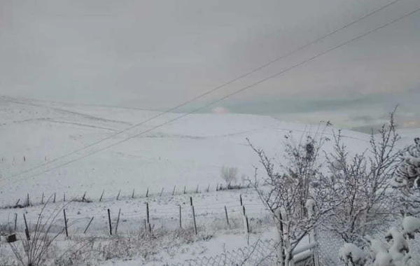 Cəlilabada ilk qar yağıb - FOTO