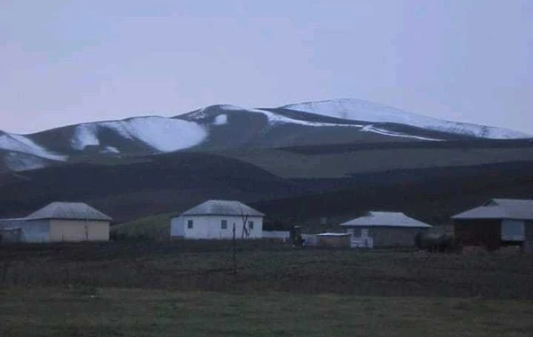 Cəlilabada ilk qar yağıb - FOTO