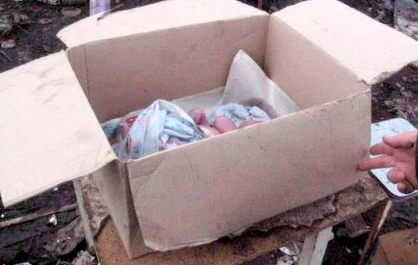 Azərbaycanda insanlığa sığmayan hərəkət: 3 günlük körpəni küçəyə atdılar