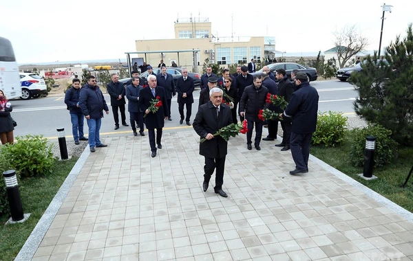 Руководство SOCAR посадило 33 дерева в память о погибших и пропавших нефтяниках - ФОТО
