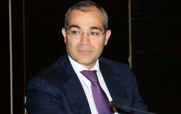 Mikayıl Cabbarov: Azərbaycan investorlarını dəstəkləyir