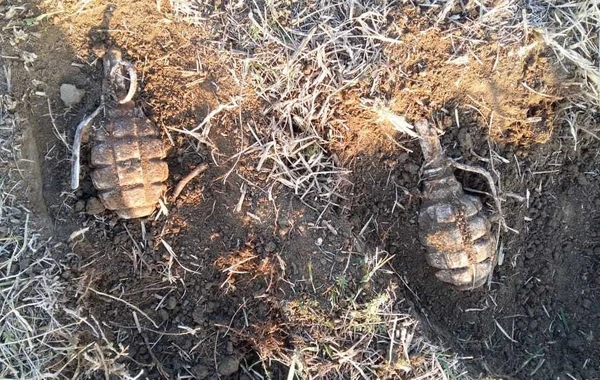 Ağstafada əl qumbaraları tapılıb - FOTO