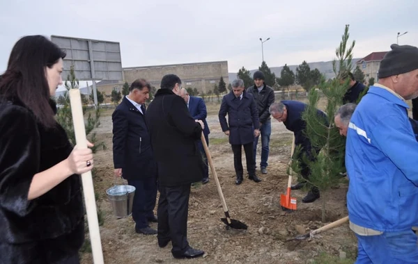 Yeni icra başçısı “lapatka” götürüb işə başladı - FOTO