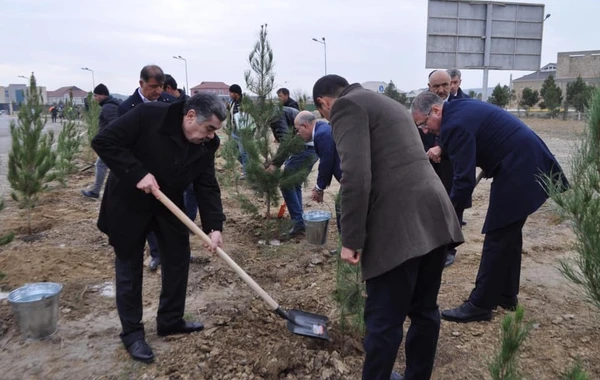 Yeni icra başçısı “lapatka” götürüb işə başladı - FOTO