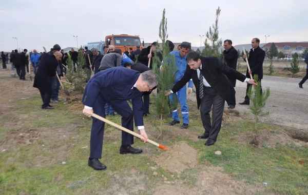 Yeni icra başçısı “lapatka” götürüb işə başladı - FOTO